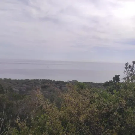 Lejlighed Gabriele's House Sardegna *